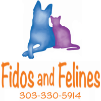 finicky feline and fido